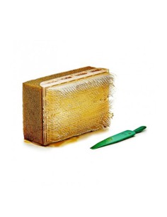 Cepillo quirúrgico Povidona, Caja 100 uds